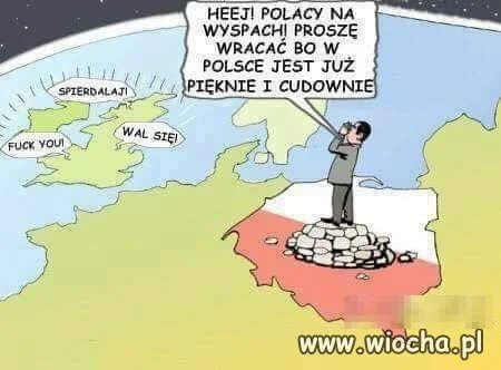 Wracajcie