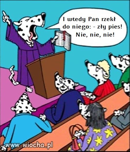 Pieski świat