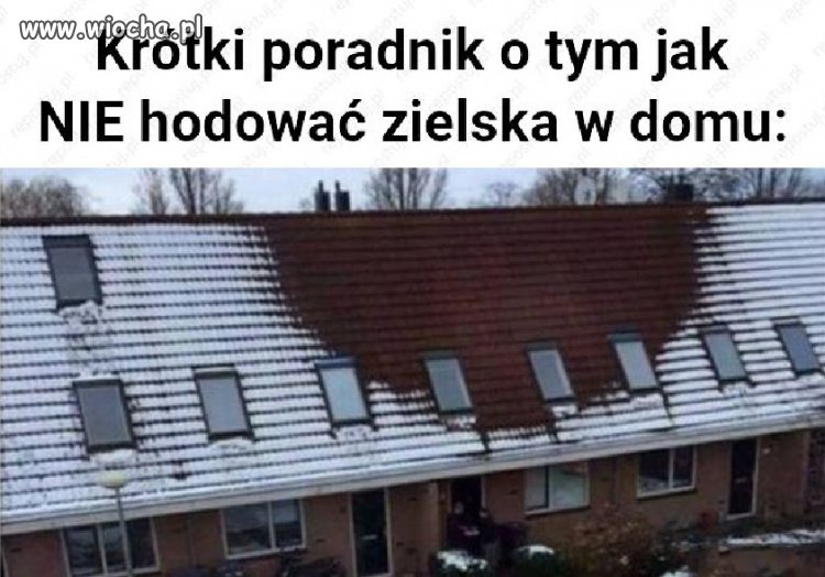 A tymczasem na stryszku ...