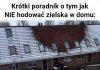 A tymczasem na stryszku ...