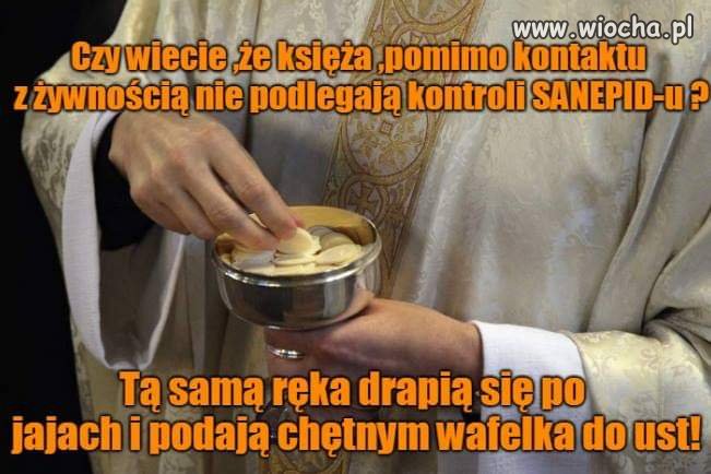A oni w ogóle pod coś podlegają ?