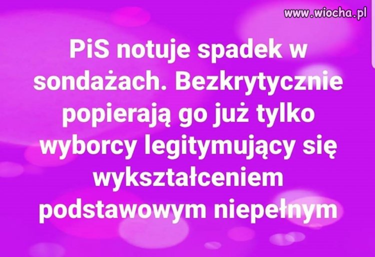 Twardy elektorat