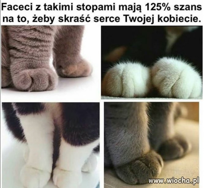 Oni skradną serce Twojej kobiecie...