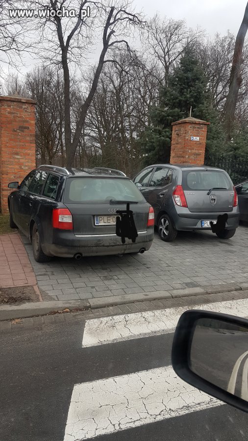 Mistrzowie parkowania. BRAWO.