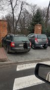 Mistrzowie parkowania. BRAWO.