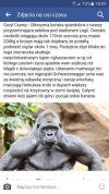 Goryl