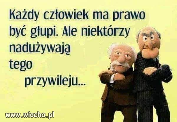 Przywilej