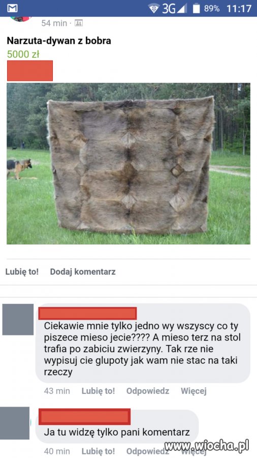 Tak rze tego.