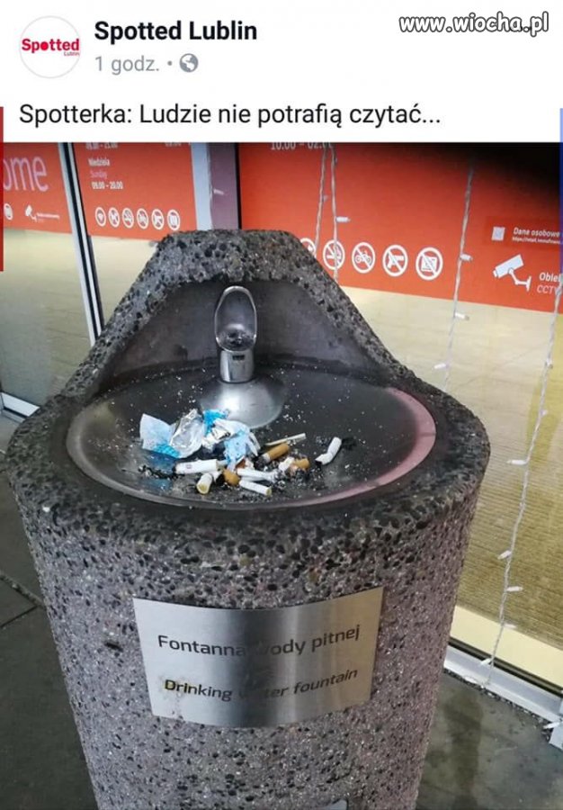 Z kulturą na Ty