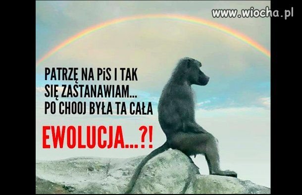 No właśnie