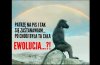 No właśnie