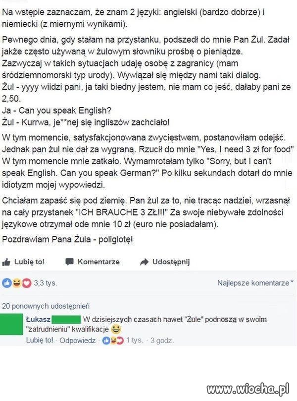 Żul poliglota