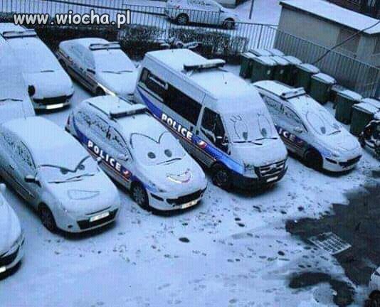 Skąd ja ich 