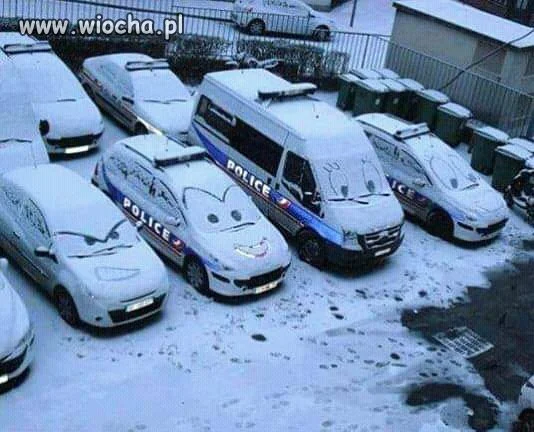 Skąd ja ich 