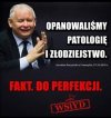 Perfekcjoniści