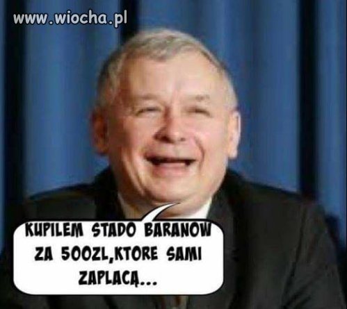 Nie tylko barany ale My Wszyscy czyli barany