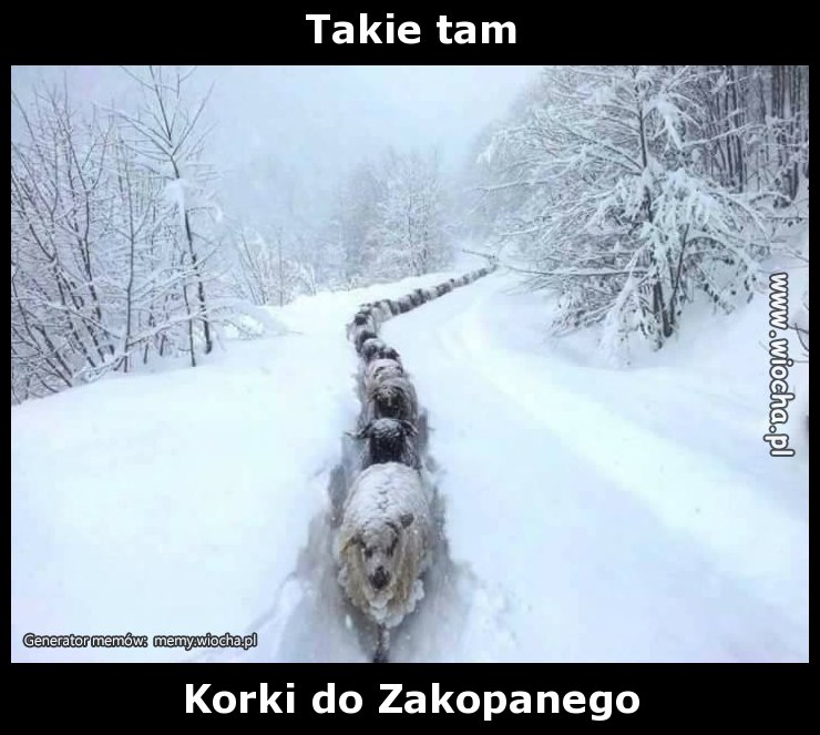 Takie tam 