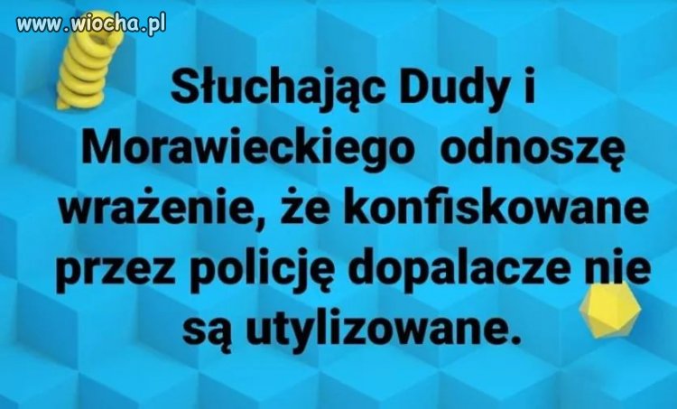 Coś w tym jest 