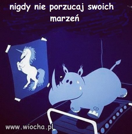 Motywacja