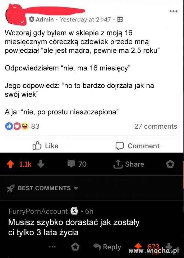 Pojechane