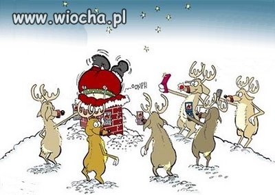 Mikołaj 