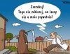 Zaczekaj, Kochana Kostucho!
