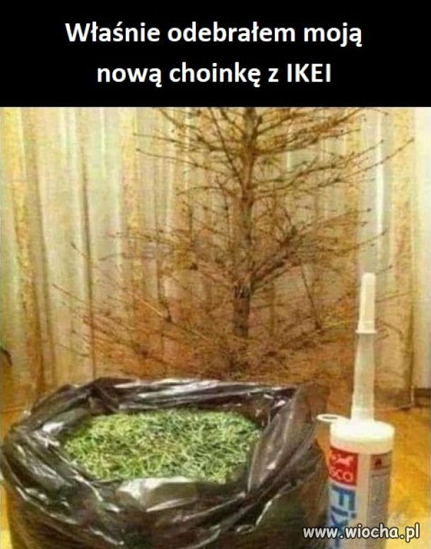 Trochę świątecznie