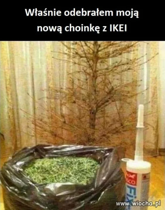 Trochę świątecznie