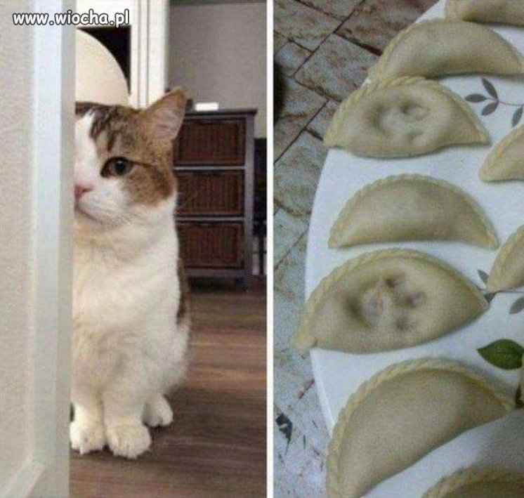 Kochane Kitku
