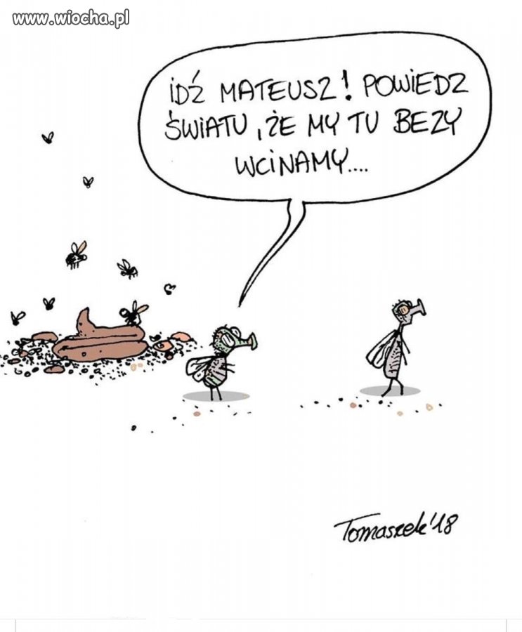 Tymczasem 