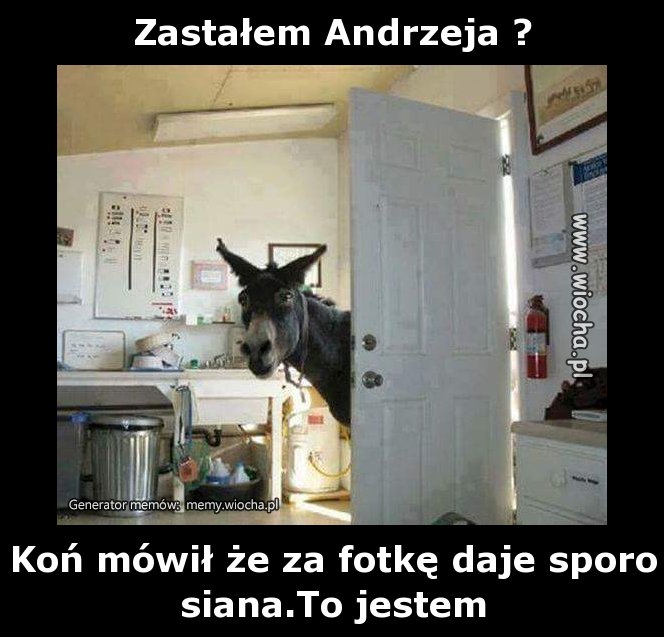 Zastałem Andrzeja ?