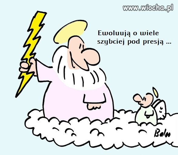 Poprawka do Teorii Ewolucji