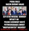 Nikt nic nie widział?