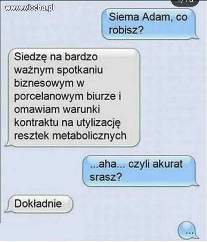 Mistrz w swoim fachu