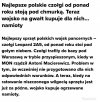 Kto bogatemu politykowi zabroni..?