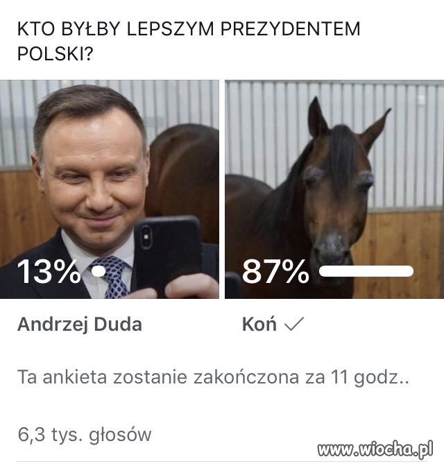 Ankieta