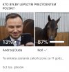 Ankieta