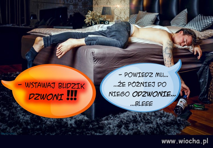 " ...Rano wstań,rano wstań..."