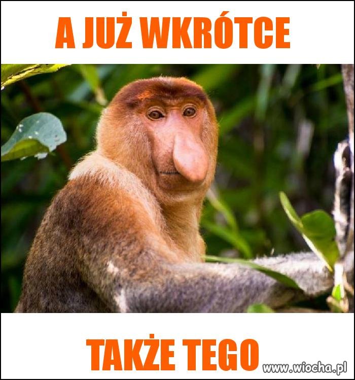 Typowy polak przy stole wigilijnym