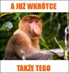Typowy polak przy stole wigilijnym