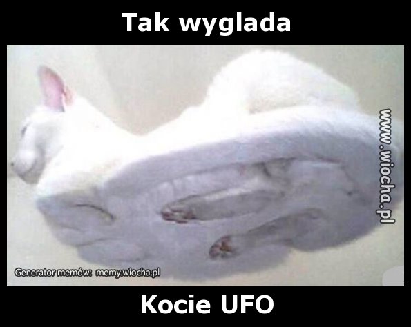 Tak wyglada