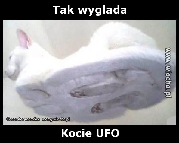 Tak wyglada