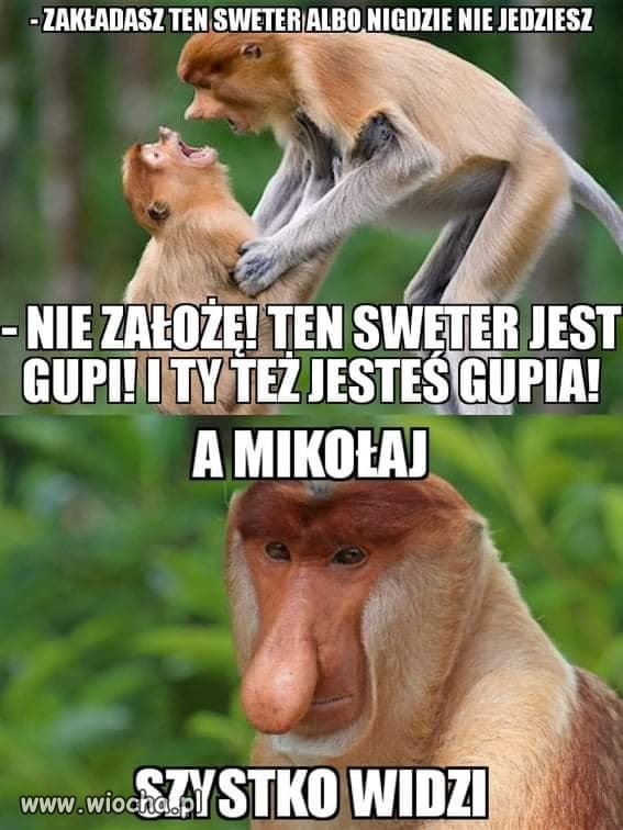 Jakie to prawdziwe