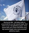 Jak trzeba mieć zlasowany mózg