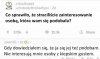 Dobry gust