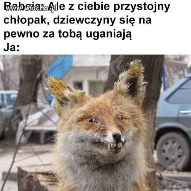 Kochana babcia 