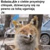 Kochana babcia 