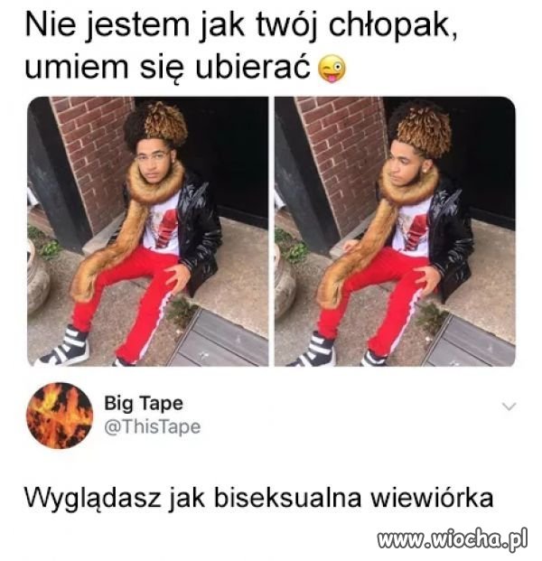 Wiewiórka