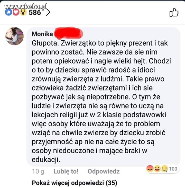 Ciekawych rzeczy uczą dzieci