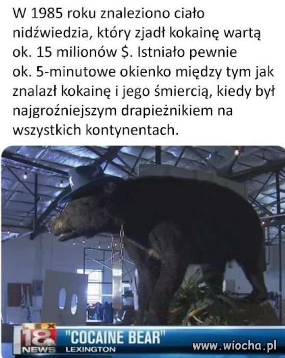 Kokainowy